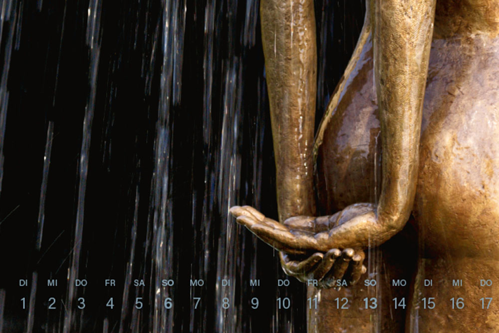Kalender Paradiesvogel 2027